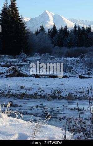 very cold january day, wild river Bela, Kriváň Stock Photo