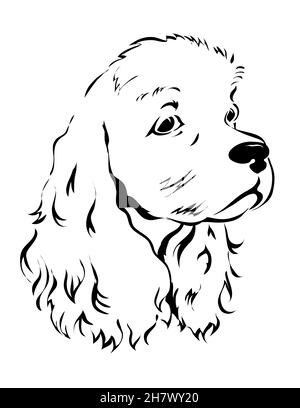 Hand drawn cute cocker spaniel puppy face with party hat breed seamless ...