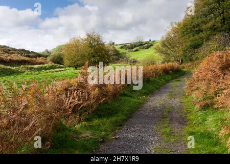 Footpath through the old mining landscape at Velvet Bottom at the Cheddar Complex in the Mendip Hills, Somerset, England. Stock Photo