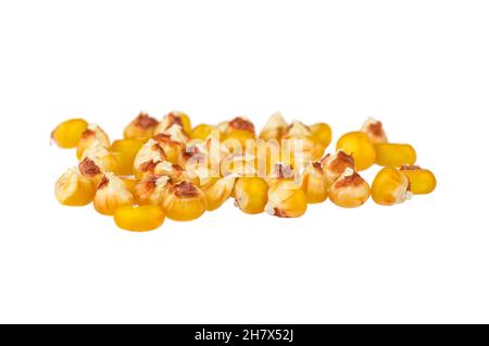 Dried corn kernels on white background Stock Photo
