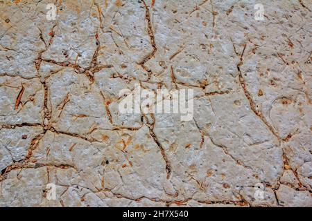 Close up cracked wet white stone texture. Stone pavement after rain background. Stock Photo