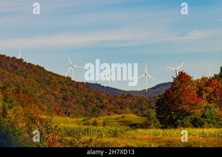 wind turbines along ridge line above  forest in autumn colors and field of golden corn ready for harvest Stock Photo