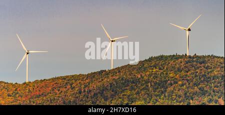 wind turbines along ridge line above  forest in autumn colors and field of golden corn ready for harvest Stock Photo