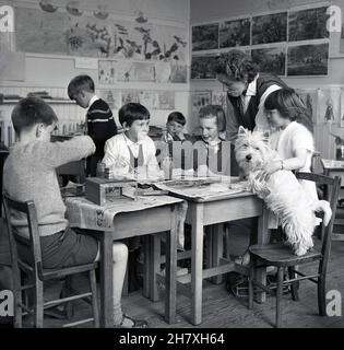 1965, historical, in a primary school classroom, several young children sititing at traditional wooden desks covered with old newspaper doing painting, supervised by a lady teacher. Beside them, a small girl holding the school dog, a West Highland terrier, commonly known as a Scottie, who is standing with its back legs on a chair and its front ones on a desk, Fife, Scotland, UK. Stock Photo