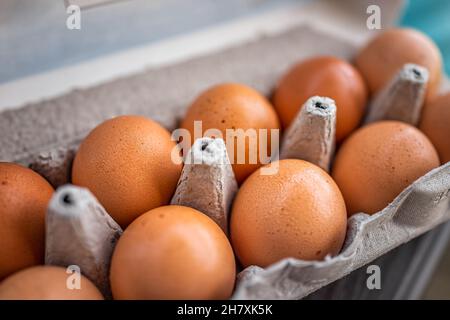 Closeup macro of pasture raised farm fresh dozen brown eggs store bought from farmer in carton box container with speckled eggshells texture Stock Photo
