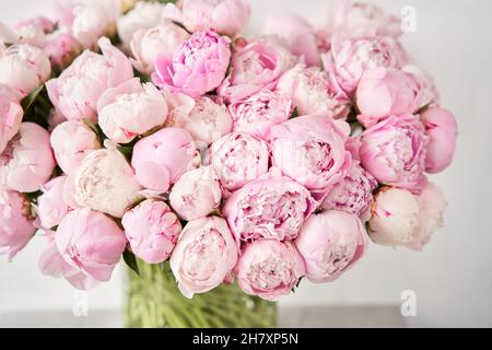 Cute and lovely peony. many layered petals. Bunch pale pink peonies flowers light gray background. Wallpaper, Stock Photo