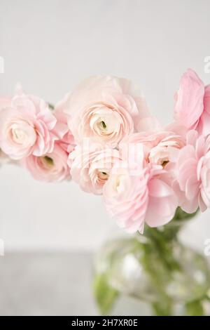 The background of ranunculus colors is gently pink. A riotous peony-shaped rose bouquet Stock Photo