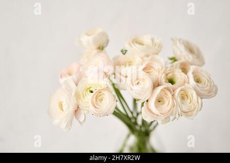 The background of ranunculus colors is gently pink. A riotous peony-shaped rose bouquet. Stock Photo