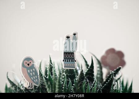 Cute colorfull little thing on houseplant,ln real room interior, plants and succulents, nice background Stock Photo