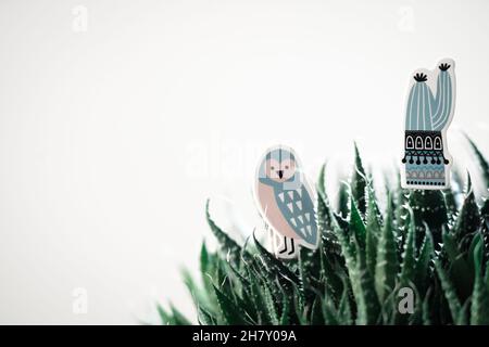 Cute colorfull little thing on houseplant,ln real room interior, plants and succulents, nice background Stock Photo