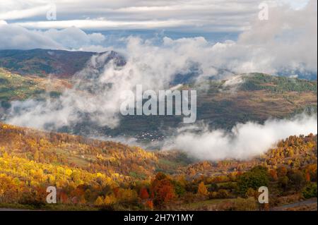 autumn landscape with morning fogs in dumesti, romania Stock Photo