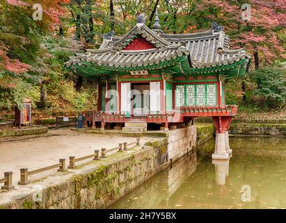 A gravelled path leads to a small villa by the side of a pond in the secret garden of the Changdeokgung royal palace in Seoul.