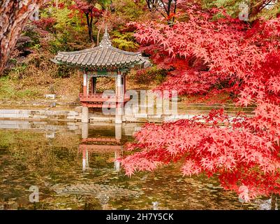 The red leaves of a maple tree in autumn frame a small villa by the side of a pond in Seoul. Stock Photo