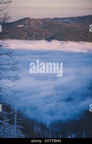 View of the hills that are covered with clouds, clouds that settled between the hills in the national forest of Mount Hood Stock Photo