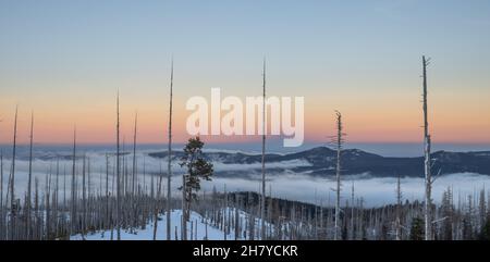 View of the hills that are covered with clouds, clouds that settled between the hills in the national forest of Mount Hood Stock Photo