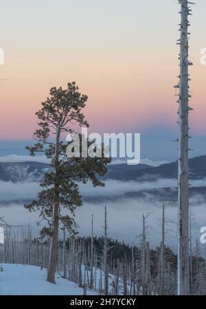 View of the hills that are covered with clouds, clouds that settled between the hills in the national forest of Mount Hood Stock Photo