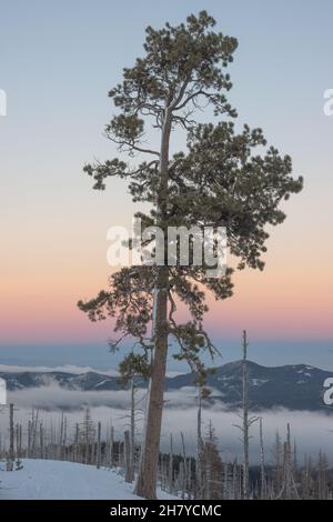 View of the hills that are covered with clouds, clouds that settled between the hills in the national forest of Mount Hood Stock Photo