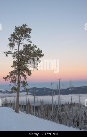 View of the hills that are covered with clouds, clouds that settled between the hills in the national forest of Mount Hood Stock Photo