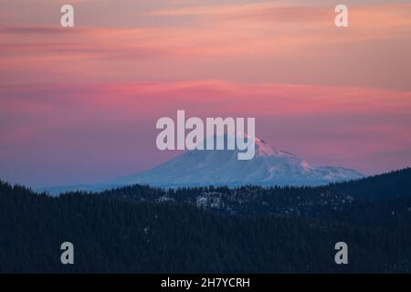 View of the snow-capped mountain peak on a background of pink sunrise, in the foreground a pine forest, Mt.Hood National Forest, OR, USA Stock Photo