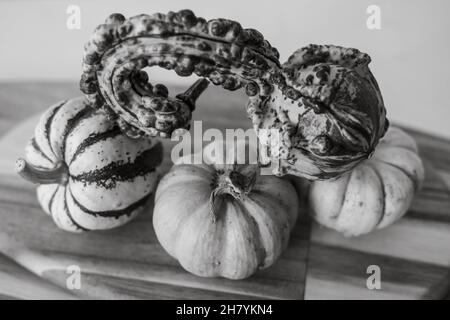 a selection of mini pumpkins balancing on top of each other on a wooden chopping board black and white Stock Photo