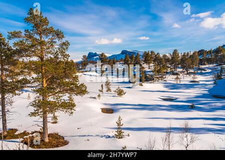 Spring time in the mountain area, plenty of snow, sunny weather, mountains in background, Stora sjöfallet nationalpark, Gällivare county, Swedish Lapl Stock Photo