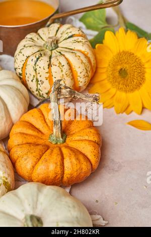 Various types of ripe colorful pumpkins placed on white table with fresh yellow sunflower in light kitchen during harvest season Stock Photo