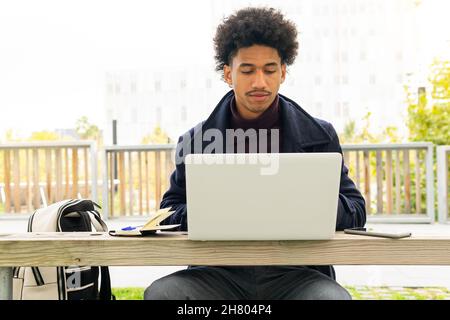 Concentrated African American male freelancer working remotely on netbook on bench in park Stock Photo