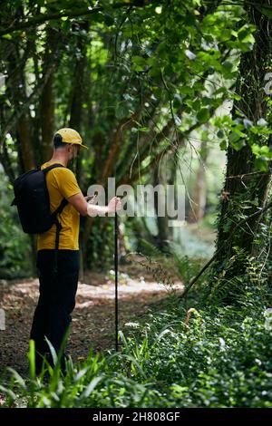 Lonely focused hiker browsing cellphone while standing on pathway in woods in sunny day Stock Photo