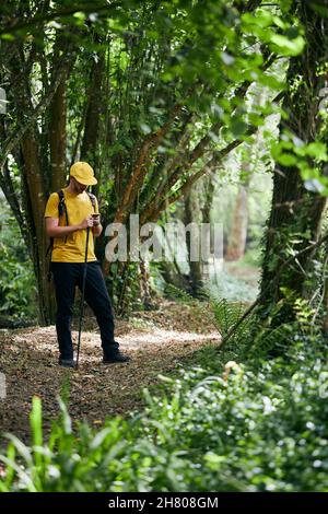 Lonely focused hiker browsing cellphone while standing on pathway in woods in sunny day Stock Photo