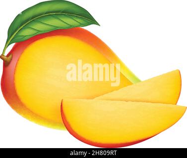 Fresh ripe mango: whole and slices isolated on white background. Photo-realistic vector illustration. Stock Vector