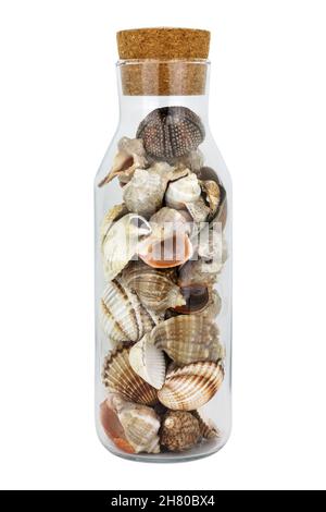 Seashells in a glass jar on white background. Summer holiday concept. Stock Photo
