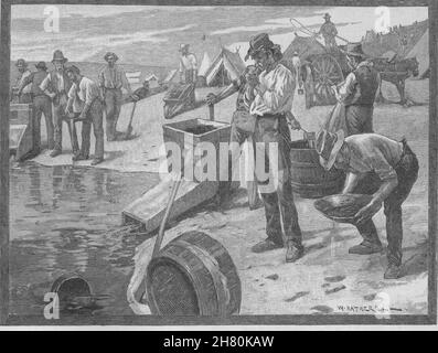 Cradling and Panning Australia 1890 antique vintage print picture Gold 