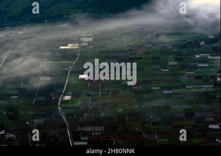 Aerial image of plantation field in sembalun village. Stock Photo