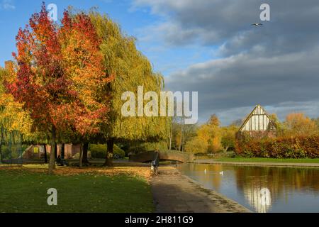 Sunny autumnal scene (lady walking by colourful trees, reflections on water, bridge) - picturesque municipal Rowntree Memorial Park, York, England UK. Stock Photo