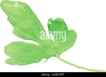 Watercolor image of leaves of parsley on white background. Stock Vector