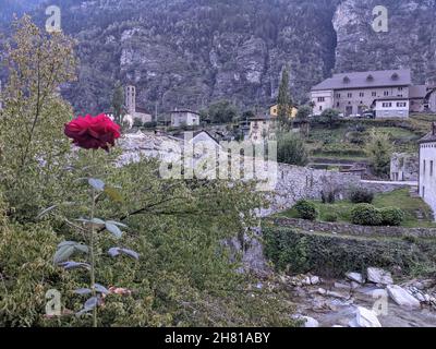 red Rose in Giornico old town in Canton Ticino, Switzerland Stock Photo