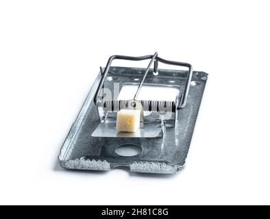 Steel  mouse or rat trap with a piece of cheese bait isolated on white Stock Photo