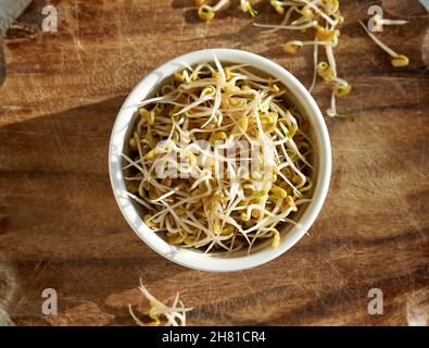 Fresh fenugreek sprouts in a bowl, top view