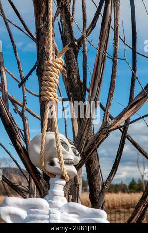 Halloween skeleton hangs from a rope in central Oregon Stock Photo