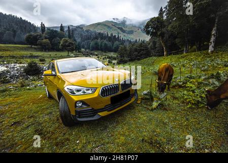 Russia Sochi 30 june 2021 BMW X2 New Golden Crossover in summer green Stock Photo