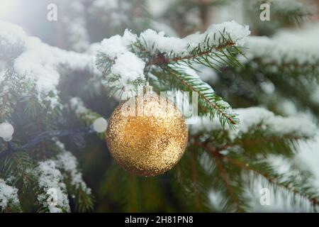 golden ball on fir tree. christmas tree with real snow and decorations Stock Photo