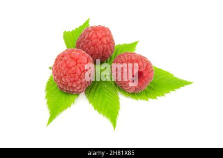 Three raspberries with leaves isolated on white Stock Photo