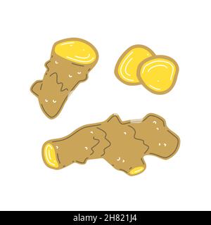 Fresh ginger rhizome, chopped ginger. Vector flat illustration Stock Vector