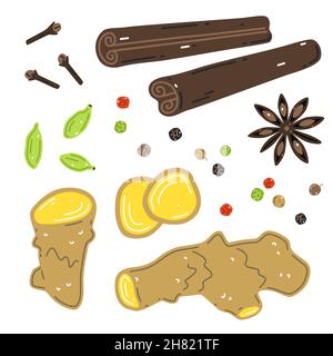 Ginger rhizome, colorful peppercorns, cinnamon, cardamom, dried cloves, star anise. Spices for mulled wine Stock Vector