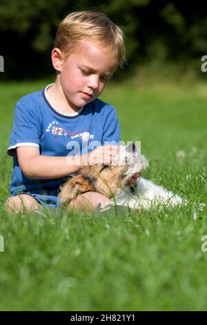 Boy playing with Wire-Haired Fox Terrier, Pup Stock Photo