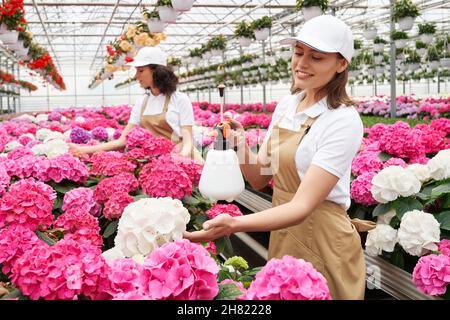 Side view of two smiling women feeding and watering beautiful different colors flowers in large glass modern greenhouse. Concept of caring for plants and preparation for sale.  Stock Photo