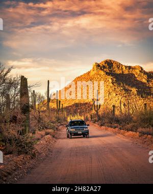 Road-trip through Saguaro National Park in Jeep Grand Cherokee.  Stock Photo