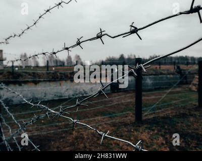 Rows of barbed wire on the state border. The separation of the two countries. Close-up of barbed wire Stock Photo