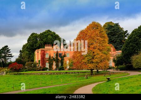 Vibrant autumn colour of the trees and shrubs in front of Killerton House, nr Exeter, Devon, England, UK Stock Photo