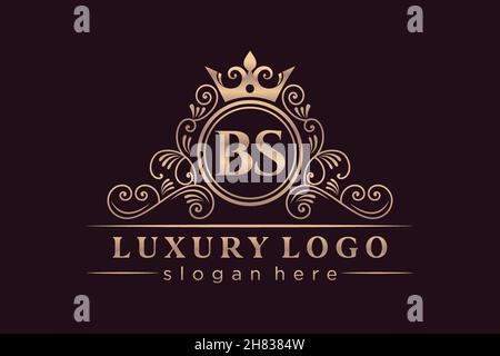 BS Initial Letter Gold calligraphic feminine floral hand drawn heraldic monogram antique vintage style luxury logo design Premium Stock Vector